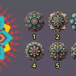 testmandalas