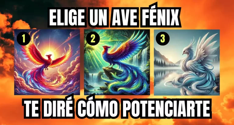 AVE FENIX